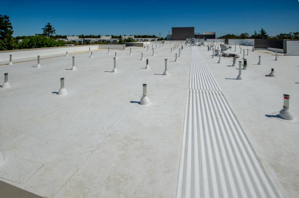 Best Roof Moss and Algae Removal  in Moreauville, LA